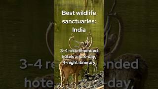 Top 4 Wildlife Sanctuaries in India to Visit [upl. by Ahseined140]