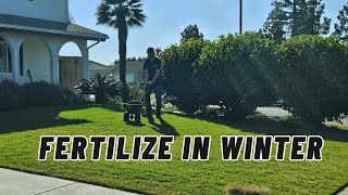 Do You Fertilize Evergreen Lawns In Winter [upl. by Ezarras]