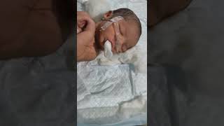 Newborn baby milk feeding 🍼🍼🍼youtubeshorts nursing shorts subscribe viralvideo motivation yt [upl. by Fital691]