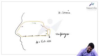 ENT Nasopharynx Anatomy By Dr Pranshu Mehta [upl. by Conni]