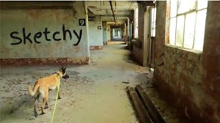 Abandoned Ammunition Plant Midewin Prairie Gravel Trails [upl. by Yornoc]