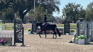 Sarah Semko Diadition HITS Ocala [upl. by Stinky]