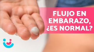 ¿Qué SIGNIFICA el FLUJO durante el EMBARAZO 🤰💧 ¿Es normal ¿Cuándo debo preocuparme [upl. by Nnyrb]