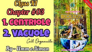 Centriole and Vacuole Cell Organelle Chapter03 Class XI Sindh board By Umm e Aiman [upl. by Crelin657]