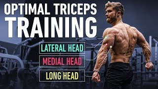 How To Build Huge Triceps with Optimal Training Technique [upl. by Dickerson785]