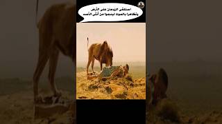 استلقى الزوجان على الأرض وتظاهرا بالموت لينجوا من أنثى الأسد Shorts فلم movie قصة film ملخص [upl. by Lirpa210]