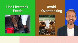 HOW TO PREVENT OVERGRAZING  Sustainability Video [upl. by Rheingold]