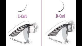 Which Lash Curl Is Best For You C vs D Curls  Flash Your Style [upl. by Annairda]