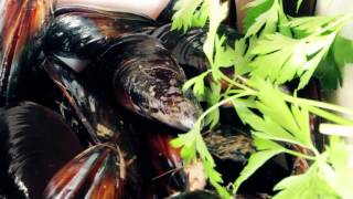 Mussels in Champagne Sauce  Plancha Recipes  Simogas [upl. by Fairfield]