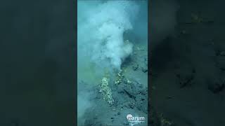 Deep Sea Moments No 2 Sulphur vents in the Bismarck Sea deepsea underwater ocean [upl. by Winona]