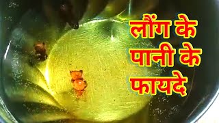 लौंग के पानी के फायदे  Loung ke pani ke fayde  लौंग में कितने tatv hote hai Aadiyogasant loung [upl. by Thane371]