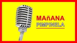 Pimpinela  Mañana KARAOKE VERSION [upl. by Lyrret]