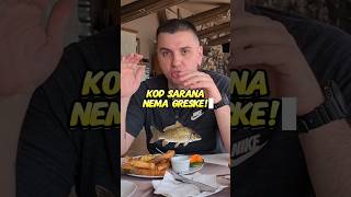 KOD Ĺ ARANA NEMA GREĹ KE đźź iskrenerecenzije atoskoruska banostor saran restoran dunav novisad [upl. by Avik]