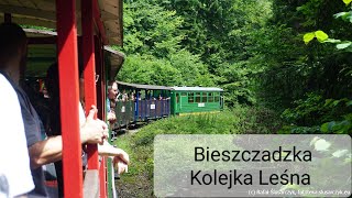 Bieszczadzka Kolejka Leśna  Wakacje [upl. by Baynebridge93]