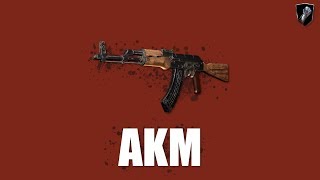 Insurgency Sandstorm AKM  Weapon Guide 1 [upl. by Ardnnek]