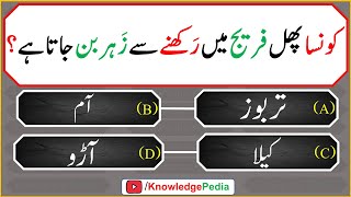 islami Urdu Paheliyan  Islamic Riddles  اسللامی سوال جواب اور معلومات  islamic Questions 621 [upl. by Libbey]