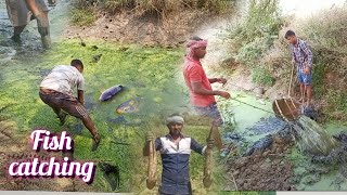 Fishing video  fish catching in the river [upl. by Aicen]