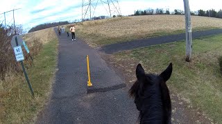 We crashed a photoshoot Riding bridleless in our new neck rope I made [upl. by Bjork878]