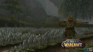 World of Warcraft  Weather Effects Rain [upl. by Aiym]