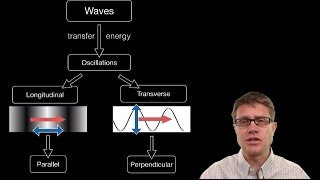 Transverse and Longitudinal Waves [upl. by Eedebez557]