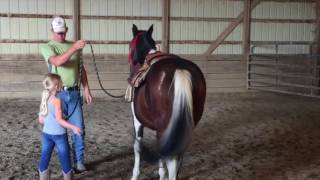 How to Yield the Forequarters  Basic Horsemanship Training [upl. by Ayalat]