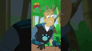 Green ANACONDA  Capybara VS Anaconda  WILD KRATTS [upl. by Anayrb]