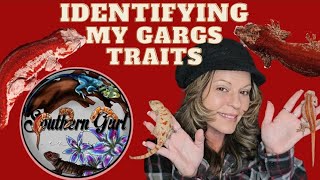 Identifying Gargoyle Gecko Traits [upl. by Flosi]