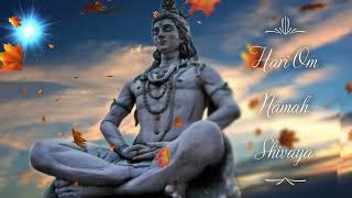 Hari Om Namah Shivaya very powerful mantra removes all negative energy 3 [upl. by Mainis]