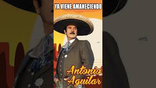 Ya Viene Amaneciendo  Antonio Aguilar music shorts [upl. by Alarise]