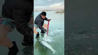 This Incredible Ice Fishing Technique Went Viral on the Internet shorts trending viralvideo [upl. by Lourdes]