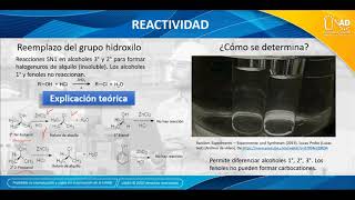 OVI  Alcoholes y Fenoles [upl. by Joice]