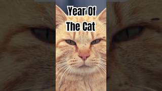 Year Of The Cat Al Stewart music song folksong alstewart yearofthecat [upl. by Leod]