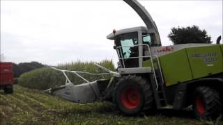 Ensilage Maïs 2015  Bretagne  Corn Silage [upl. by Amieva]