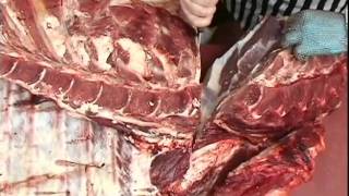 Beef Forequarter Neck and Clod Primal Removalflv [upl. by Cuttler]