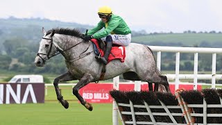 Another future star for Willie Mullins BELLOCCIO impresses on hurdling debut at Punchestown [upl. by Sclar]