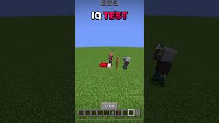 VINDICATOR IQ TEST 🤓 minecraft [upl. by Vaclav]