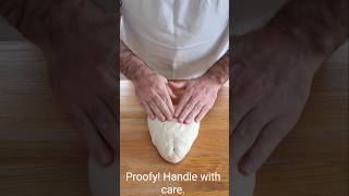 Shaping Proofy Sourdough by Cinching [upl. by Edan]