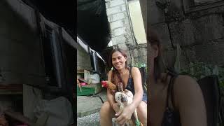 langi kaau jd ni c pikot ba🥰myviralvideovlog youtube everyone mychickenpet [upl. by Aneekahs]