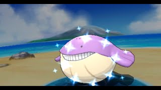 ORAS Shiny Wailmer  Chain fishing [upl. by Groark]