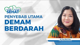 Ini Penyebab Utama Penyakit Demam Berdarah serta Proses Penyebarannya [upl. by Airdnaz317]