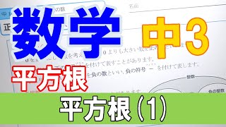 【授業動画】中３数学 平方根①「平方根1」 【ちびむすドリル】 [upl. by Knah]