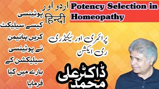 Potency Selection in Homeopathy and primary and secondary reaction of Remedy  Hindi and Urdu [upl. by Marder]