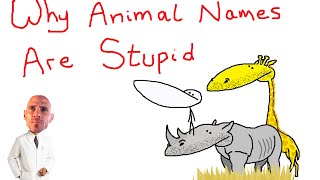 Why Animal Names Are Stupid [upl. by Stetson732]