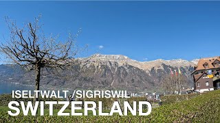 ISELTWALTSIGRISWIL SWITZERLAND WALKING TOUR IN 4K [upl. by Armalda]