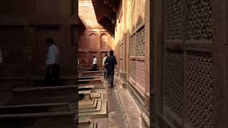 Fatehpur sekri part 3 music song live travel agra monument fatehpur fatehpursekri agra [upl. by Nera]