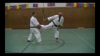 Entwicklungsschritte Ushiro Geri [upl. by Anolahs]