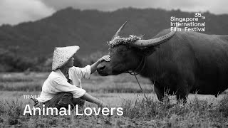 Animal Lovers Trailer  SGIFF 2024 [upl. by Avraham]