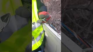 Fiber Optics Cable Repair Part 2  ოპტიკურ ბოჭკოვანი კაბელის დაზიანების აღმოფხვრა ნაწილი 2 [upl. by Adnahcir]