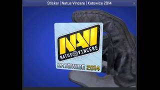 Natus Vincere Katowice 2014 Sticker [upl. by Cerf]