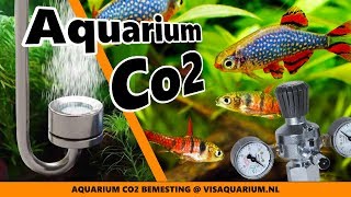 Aquarium Co2 bemesting voor planten is dit nodig [upl. by Tuneberg]